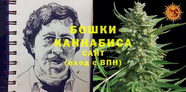 твердый Арсеньев