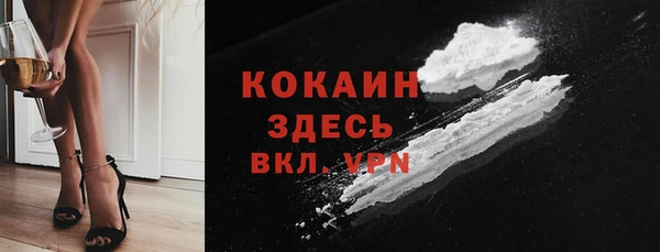твердый Арсеньев