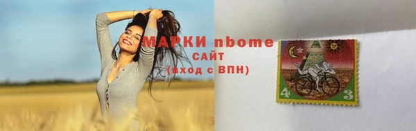 твердый Арсеньев