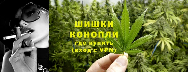 твердый Арсеньев