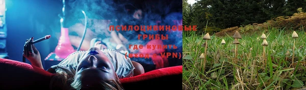 метадон Аркадак