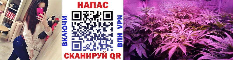 Канабис Amnesia  Чайковский 